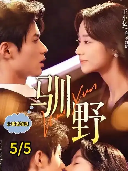 一夜春风 都市短剧海报